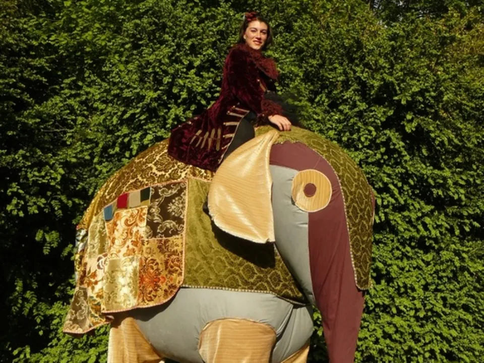 LE CIRQUE GONES