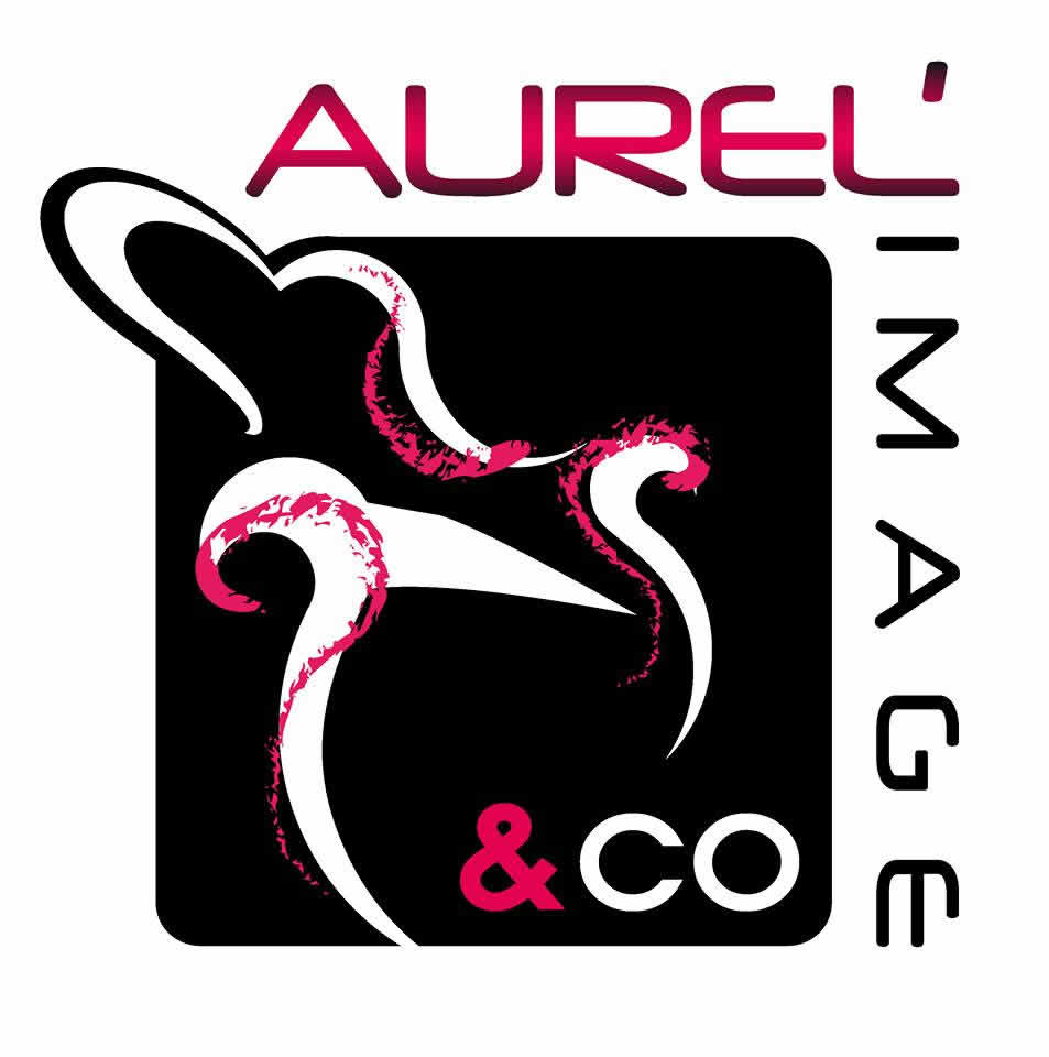 Aurel'Image & co