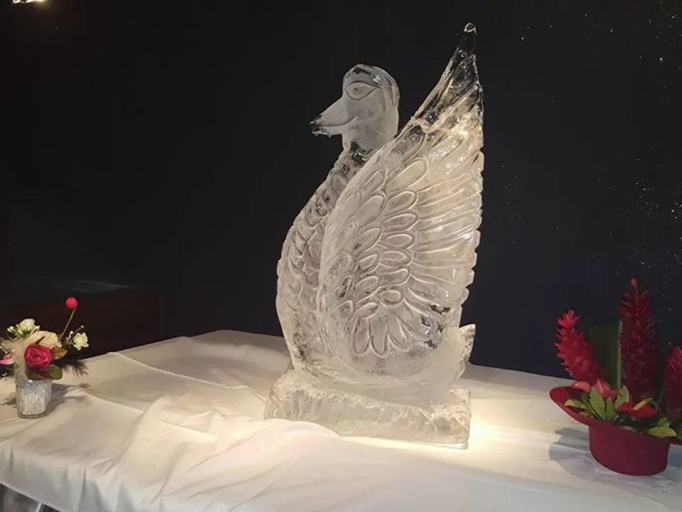 ARUM TRAITEUR REUNION