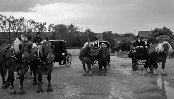 EARL Les attelages du val d'amour