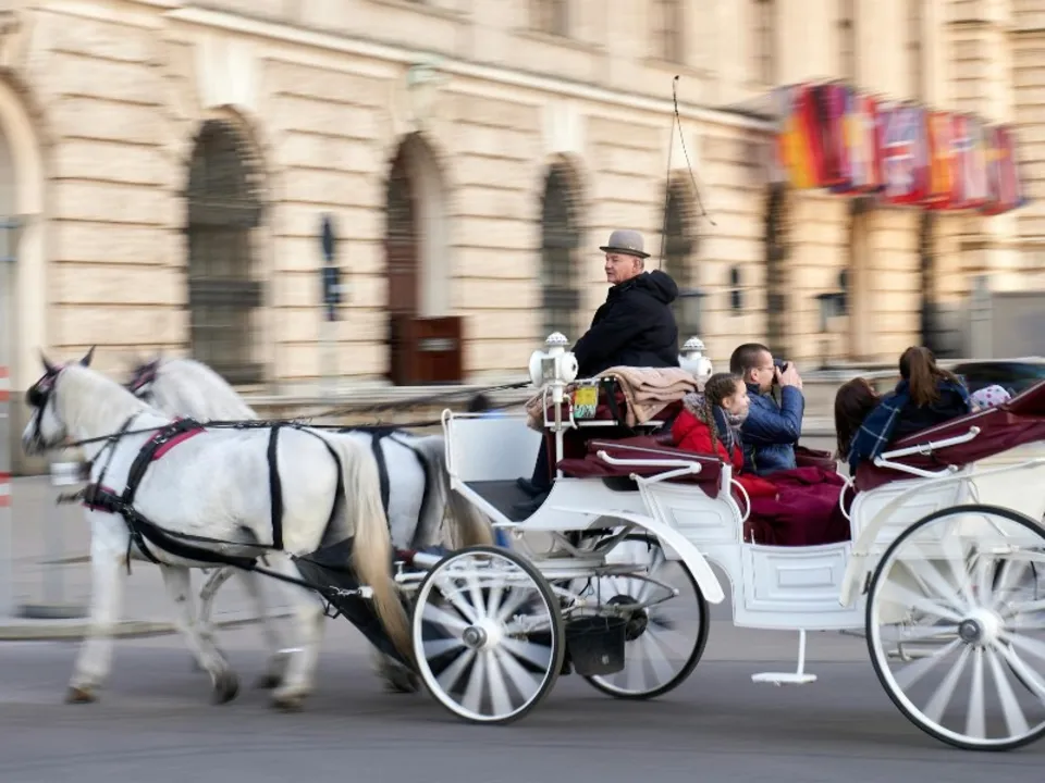 LES CHEVALIERS DE FLANDRE ET D’ARTOIS