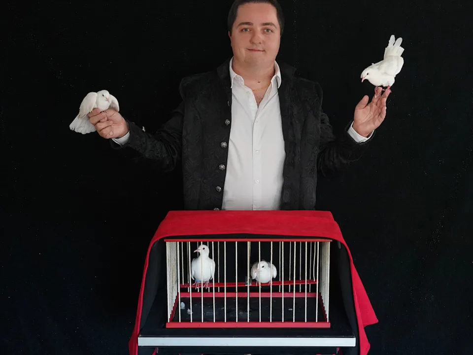 DAVID JANE PRODUCTION