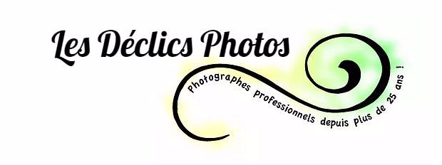 LES DECLICS