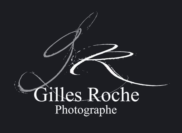 MONSIEUR GILLES ROCHE