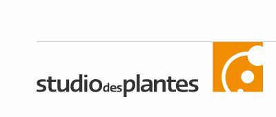 STUDIO DES PLANTES