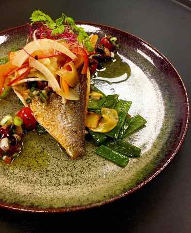 TRAITEURS DE FRANCE ORGANIS