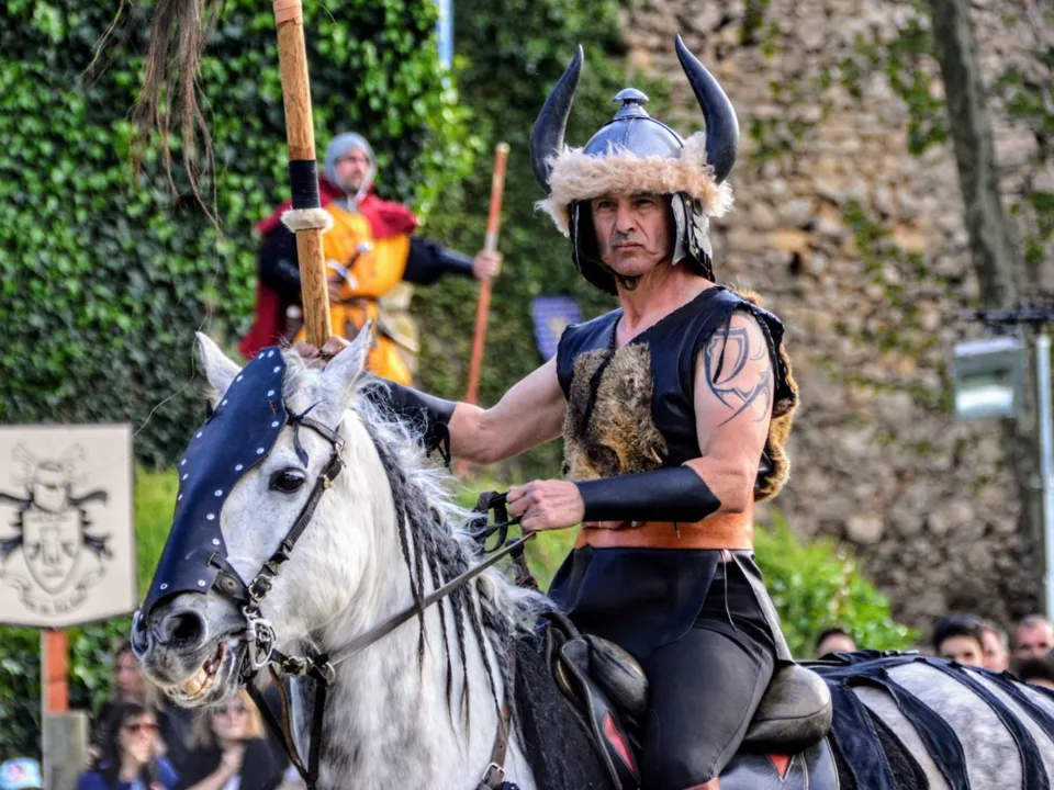 CHEVAUX DE PRESTIGE