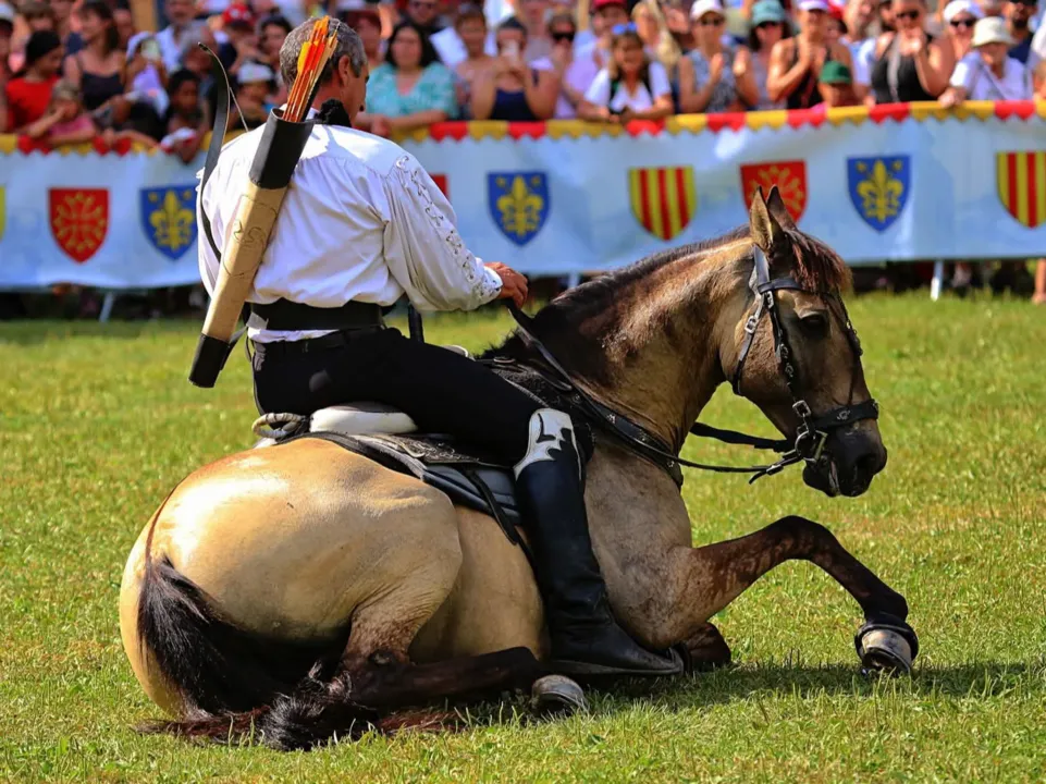CHEVAUX DE PRESTIGE