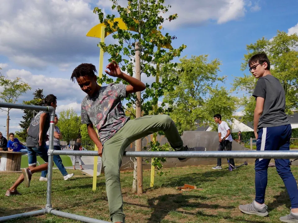 ARTS IN MOTION (AIM )