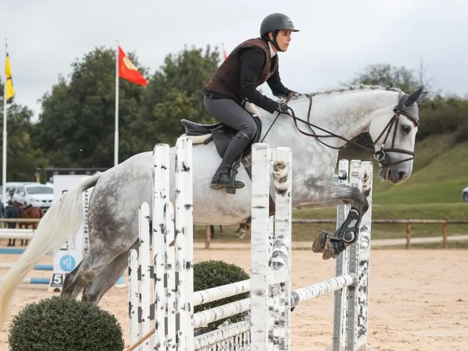 ASSOCIATION LES ECURIES DU CENTAURE