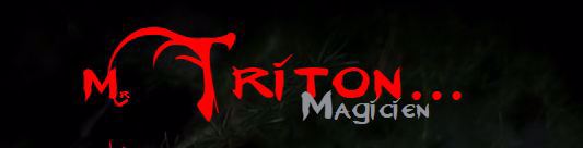 MR TRITON - MAGICIEN