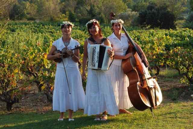 TRIO BUTTERFLY