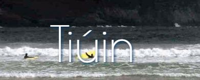 TIUIN