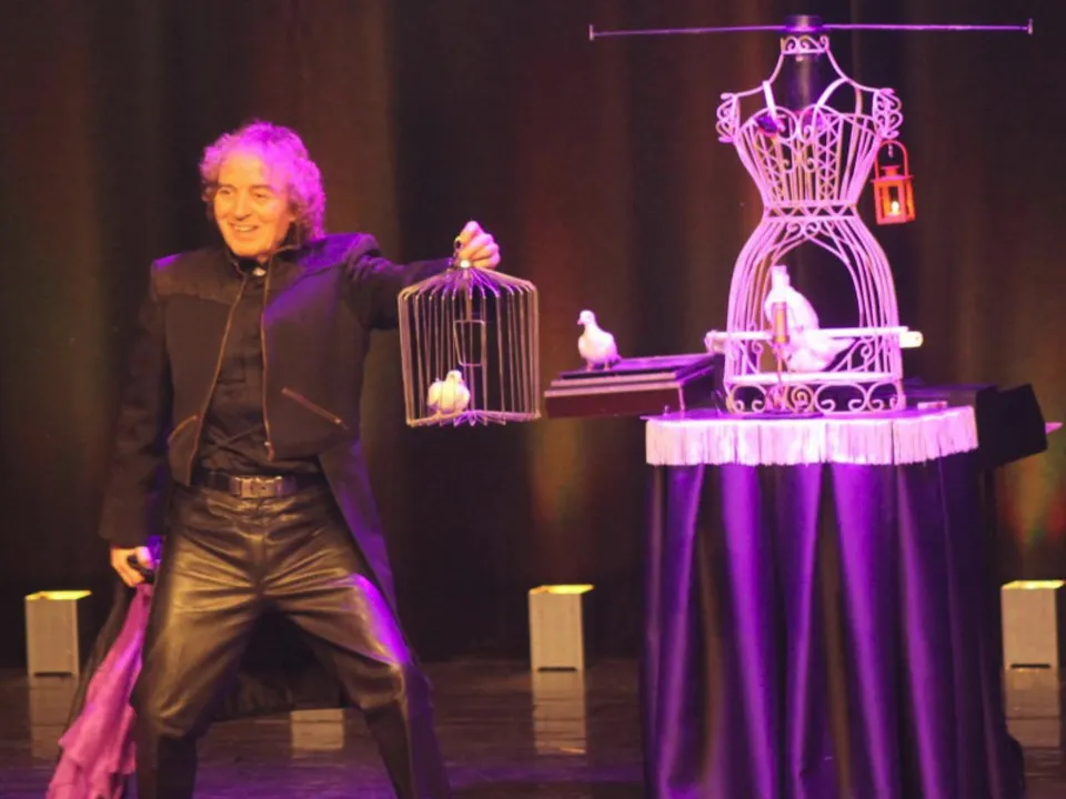 JANMILL SPECTACLE ANIMATION