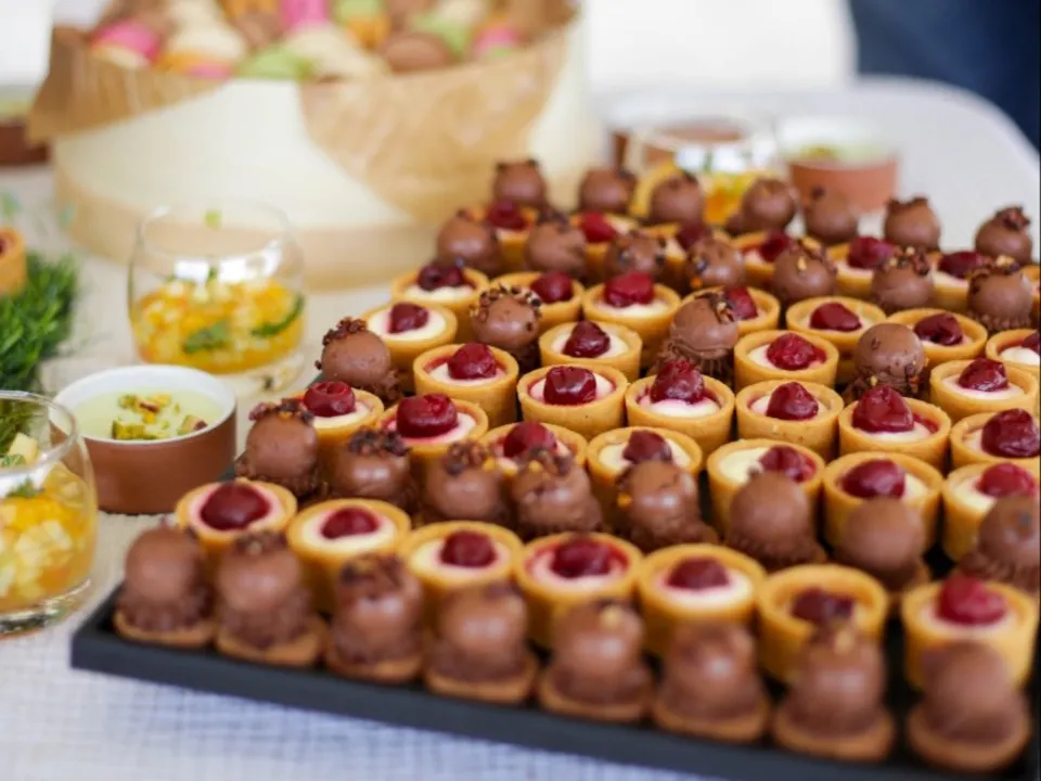 SANDRA ET SES TYPLATS