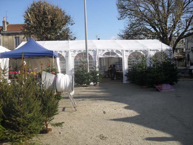 Festifs Event