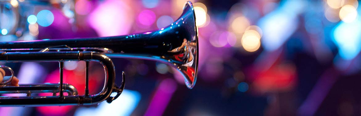 Orchestre musique Jazz et blues dans les Bouches-du-Rhône (13)