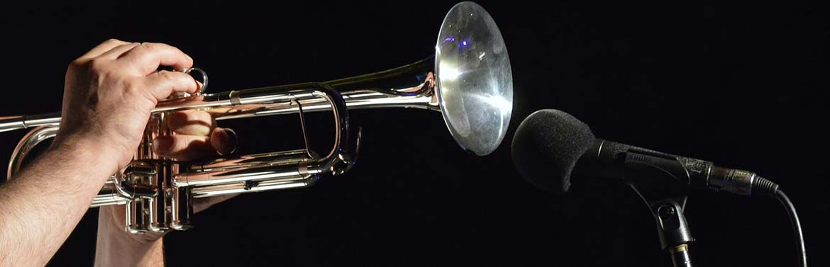 Orchestre musique ska dans les Bouches-du-Rhône (13)