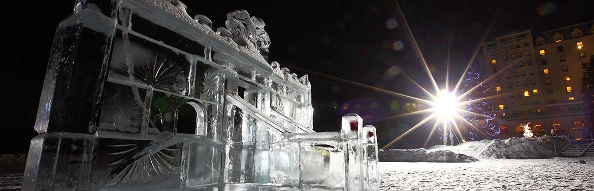 Sculpteur sur glace dans le Calvados (14)