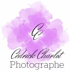 Cédrick Charlot - Feeling images