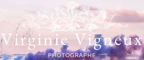 Virginie Vigneux