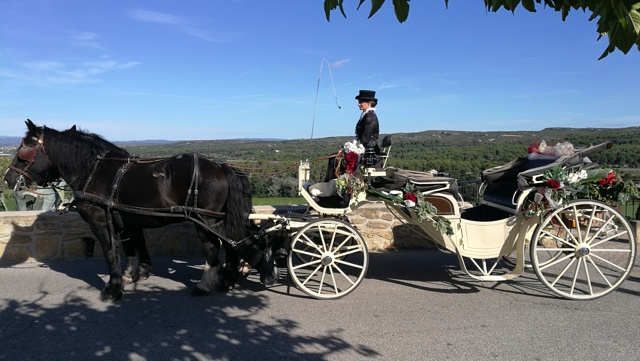 PROVENCE CALECHE TRADITION