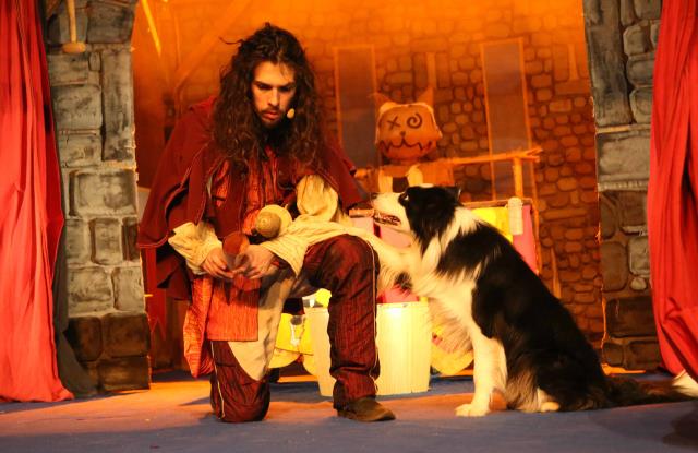 Cie DOG TRAINER