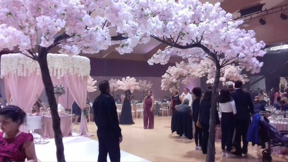 MAGIC ANIMATIONS