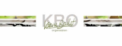 KBO - Karine Baillet Organisation
