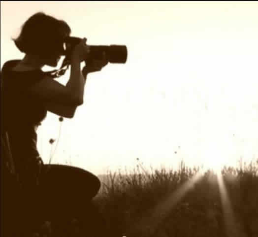 Sandrine Roulet Photographe