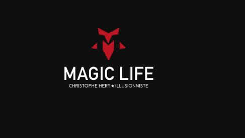 Life Is Magic